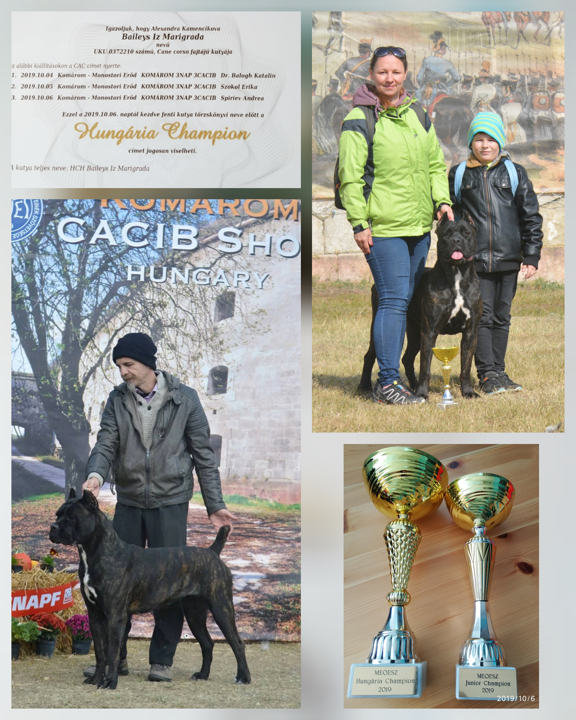 article preview