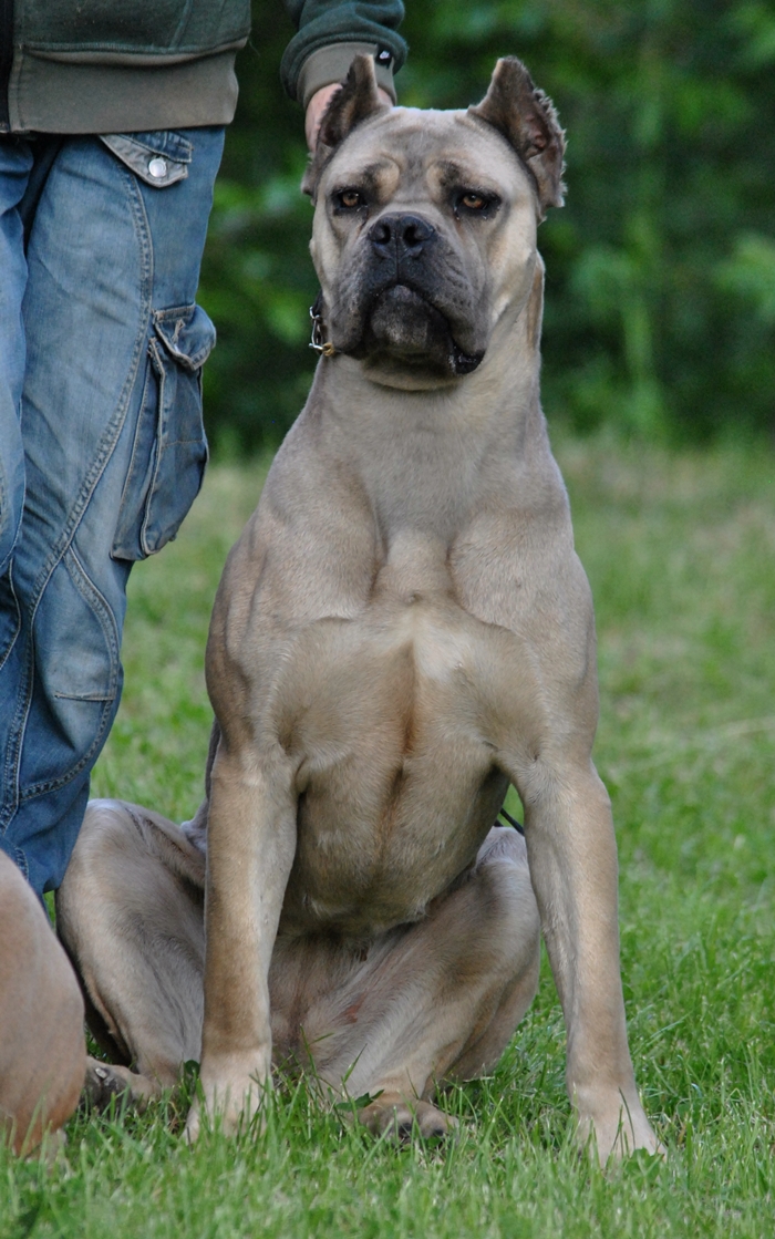 Bimba 15 mnths