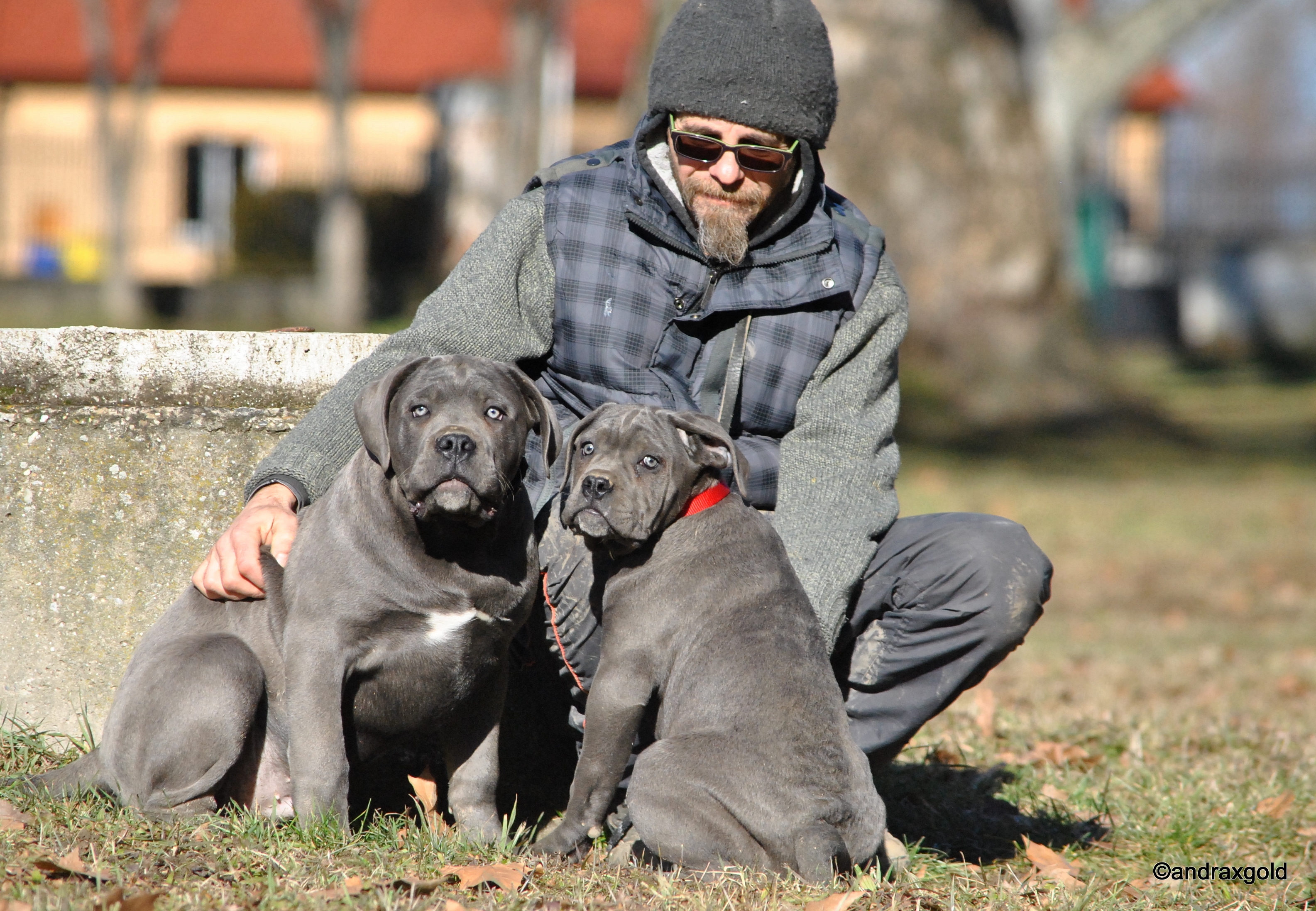 Ebi & Pako