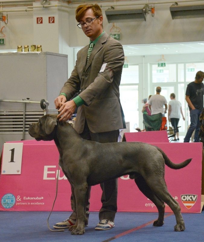 Pako dAC 1 year - new Junior Champion of Austria