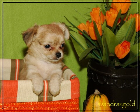 5.11. Dior.jpg