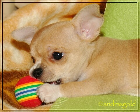 5.11. mimi D 026.jpg