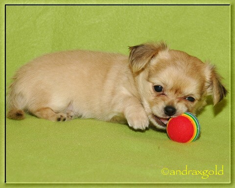 5.11. mimi D 039-1.jpg