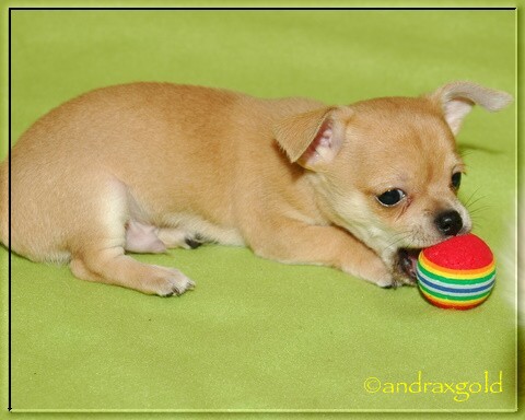 5.11. mimi D 060.jpg