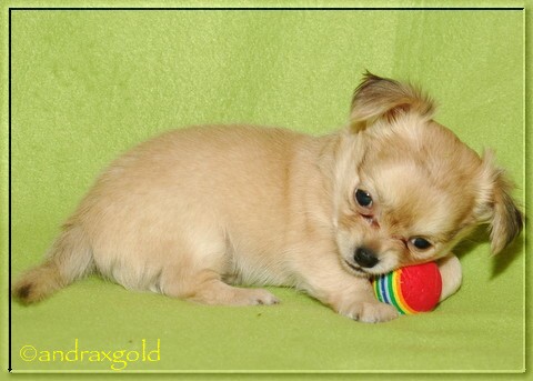 5.11. mimi D 069.jpg