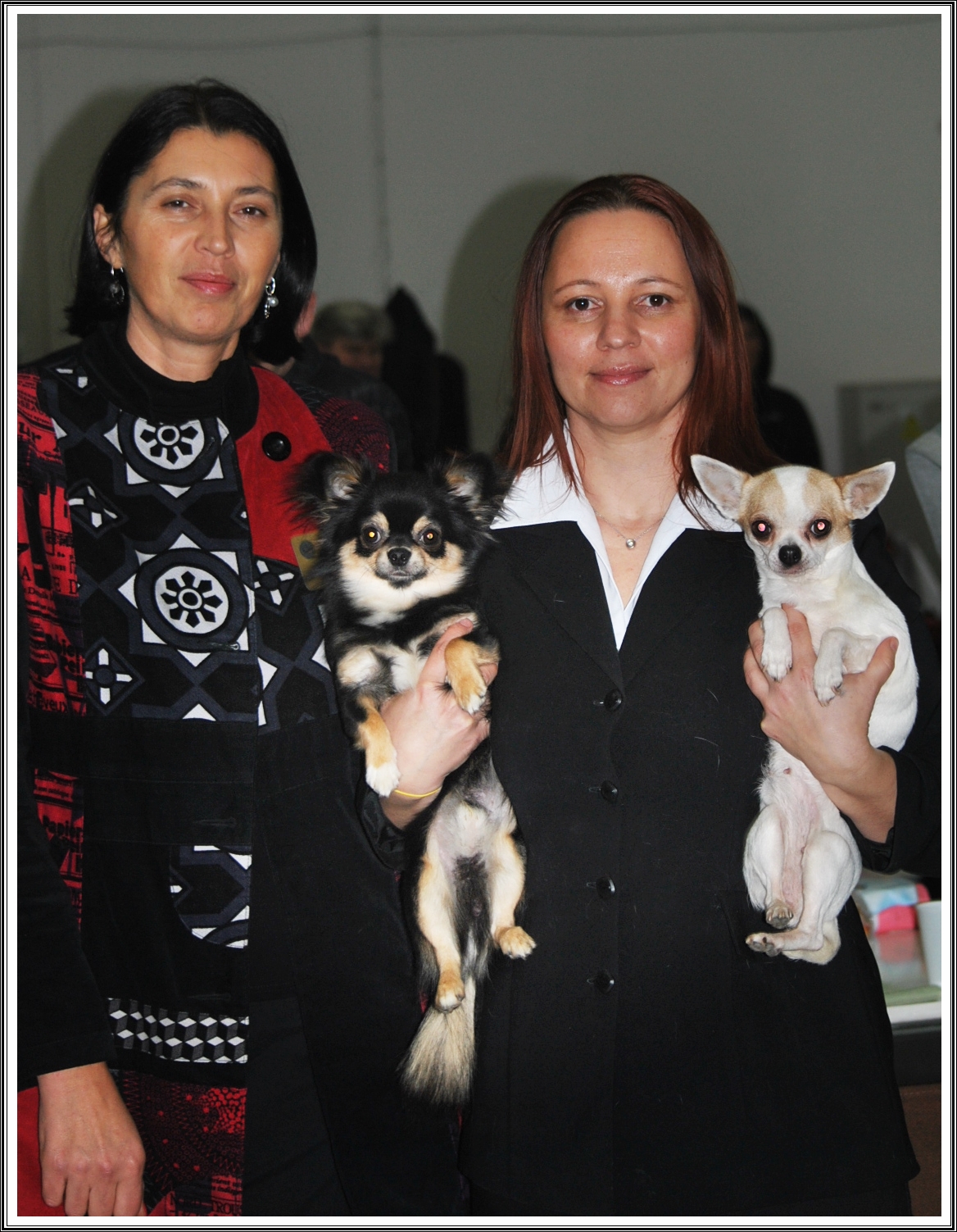Smiley on CACIB Nitra, judge: Sanja Vretenicic